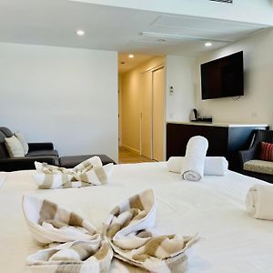 One-Bedroom Studio Suite Foldaway Bed